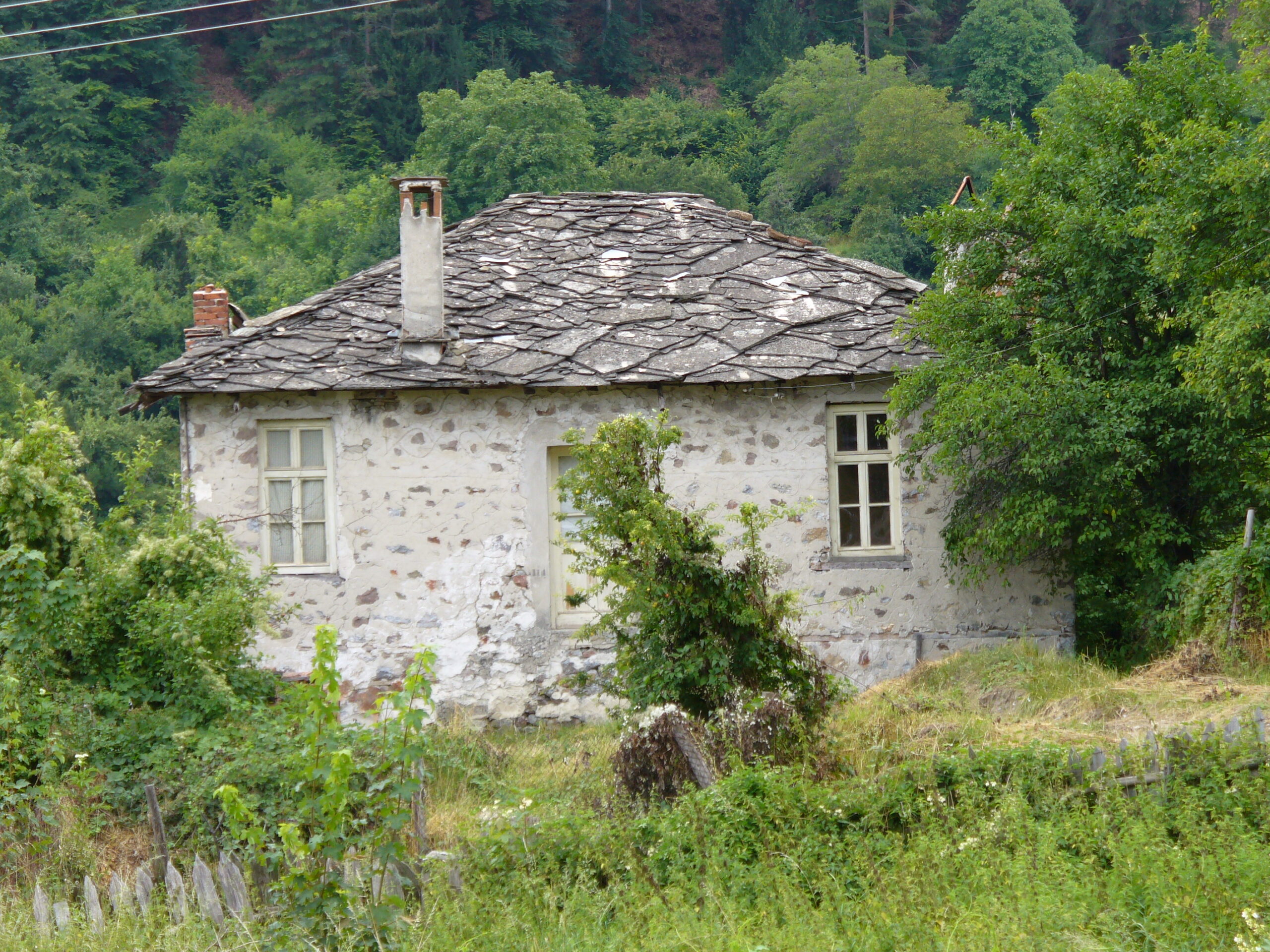 P1010941